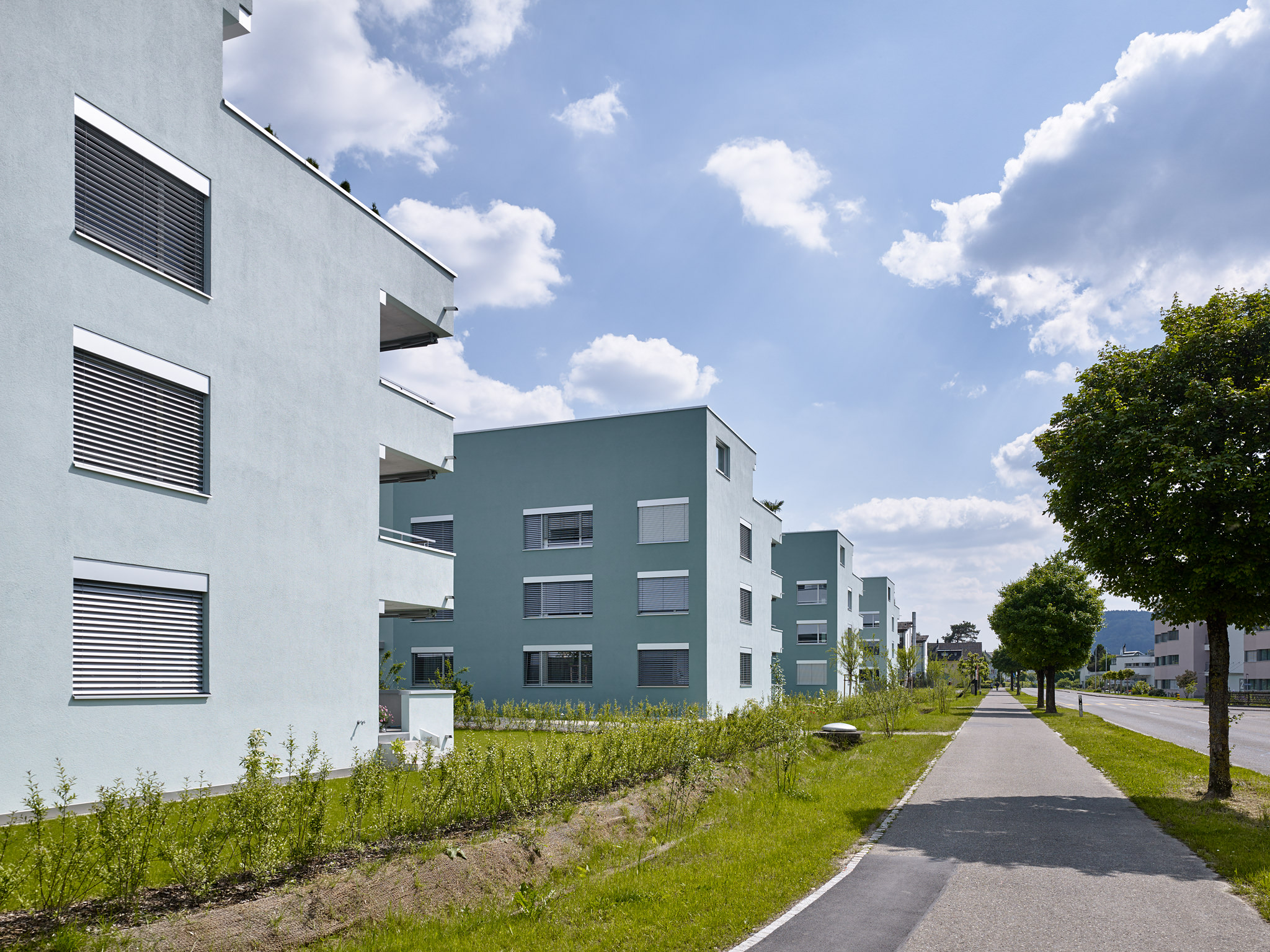 E15551 Alpa 051156 SCREEN